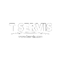 tservis team festival concert lights Sticker