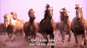 horse GIF by South Park 