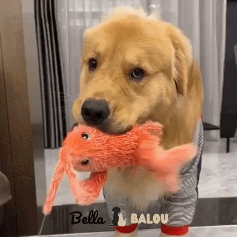 mummy_paradise giphyupload GIF