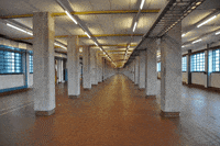 shervinafshar glitch linz GIF