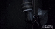 Love And Deepspace GIF