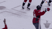 happy ice hockey GIF by NHL