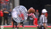 Ncaa Sports GIF by Ohio State Athletics
