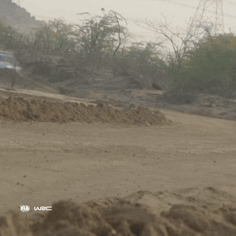 Fast Car Racing GIF by FIA World Rally Championship