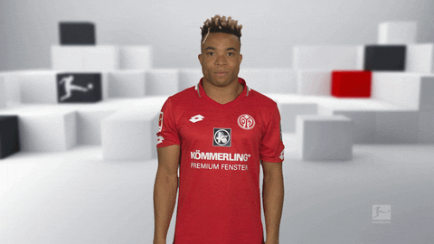 1 Fsv Mainz 05 Reaction GIF by Bundesliga