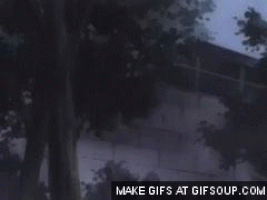 princess tutu GIF
