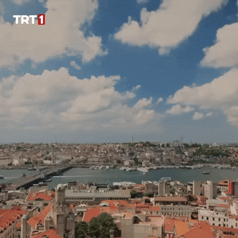Turkey Istanbul GIF by TRT