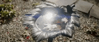 Summer Fall GIF by Aaron Taos