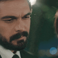 Legacy Emanet GIF by Eccho Rights