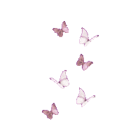 elistorycriativo borboleta borboletas elistorycriativo butterfly Sticker