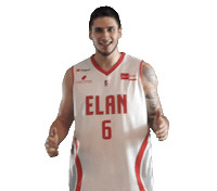 Basketball Bouquet Sticker by Elan Chalon