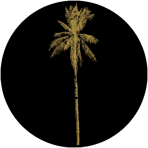 raawbytrice giphyupload palmtree raaw raawbytrice Sticker