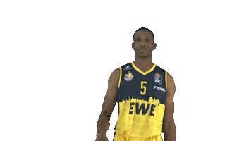 Ewe Baskets Basketball Sticker by EWE Baskets Oldenburg