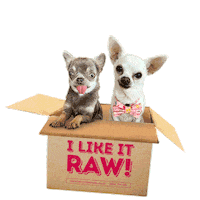 Dog Food Delivery Sticker by Benyfit Natural Official