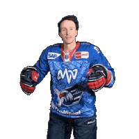 Hockey Fight Sticker by Adler Mannheim