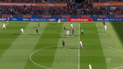 dominick drexler football GIF by 1. FC Köln