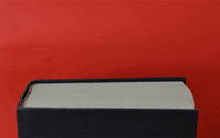 stop-motion book GIF by Philippa Rice