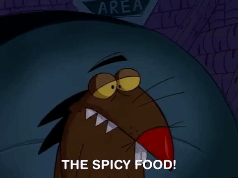 nickrewind giphydvr nicksplat angry beavers giphyab013 GIF