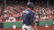 Tampa Bay Sport GIF by MLB