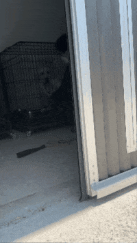 GIF by Organic Bunny