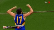 West Coast Goals GIF by AFL