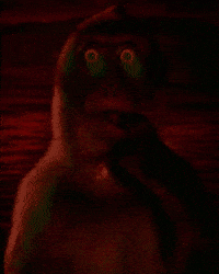 Thinking Think GIF
