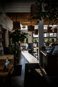 Taco Time GIF by bartacolife