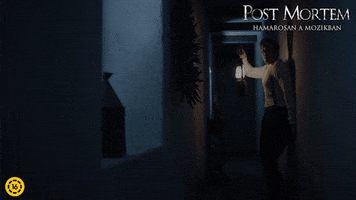 Post Mortem Film GIF by InterCom