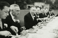 Halloween Cheers GIF by GIF IT UP