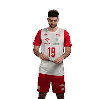 Pzps Sticker by Polska Siatkowka