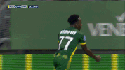 GIF by FOX Sports