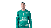 Handball Karvina Sticker by HCB Karviná