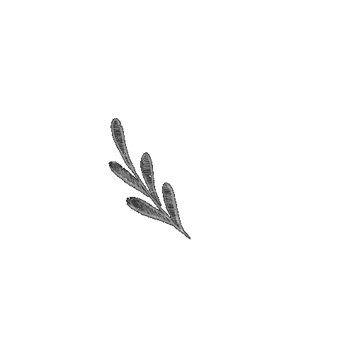 Animation Loop Sticker