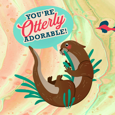 SquatchandSiren fish florida otter squatchandsiren GIF