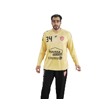 Maxi Sticker by Valence Drôme Handball