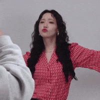 선지 GIF