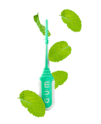 gum_spain teeth gum oral care interdental Sticker