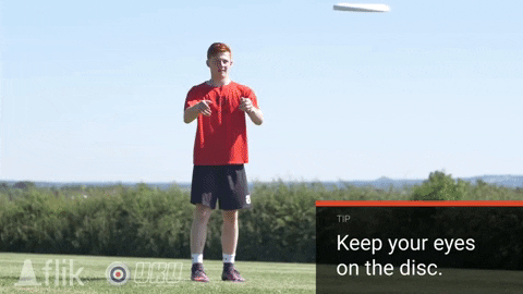 flikulti ultimate frisbee flik GIF