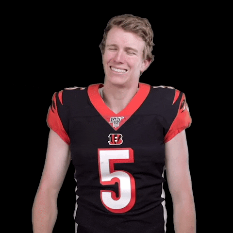 Cincinnati Bengals Yes GIF by NFL