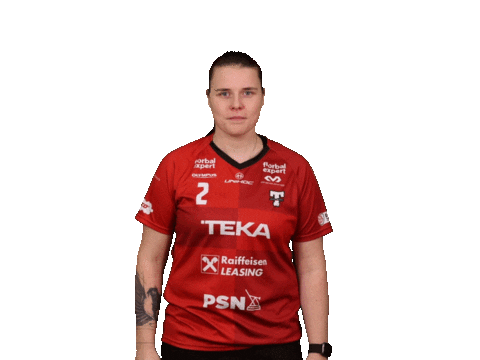 Floorball Salibandy Sticker by Tatran Stresovice