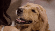 Summer Fun Love GIF by Hallmark Channel