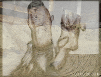 Lab Onf GIF by Alex Boya