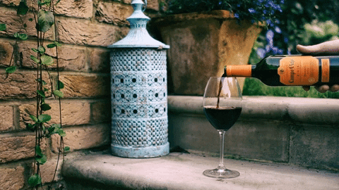 celebrate red wine GIF by Campo Viejo UK
