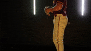Baseball Juco GIF by Pearl River Athletics