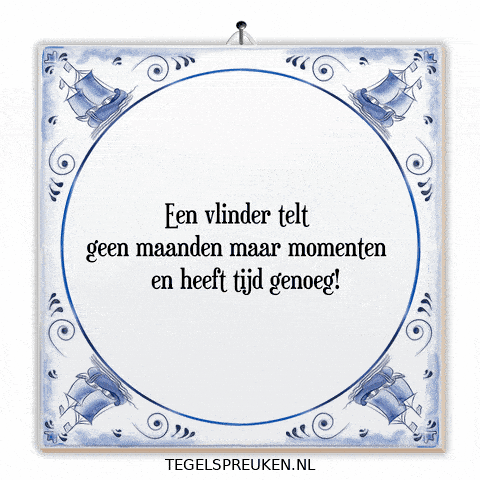 Humor Nl GIF by Tegelspreuken.nl