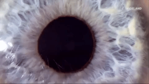 GIF by MOST EXPENSIVEST