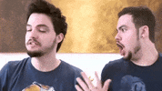 felipe neto GIF by Irmãos Neto