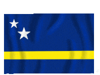 Flag Cw Sticker