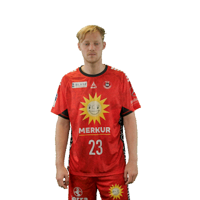 Handball Sticker by DAIKIN HBL