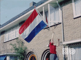 King Netherlands GIF by Beeld & Geluid